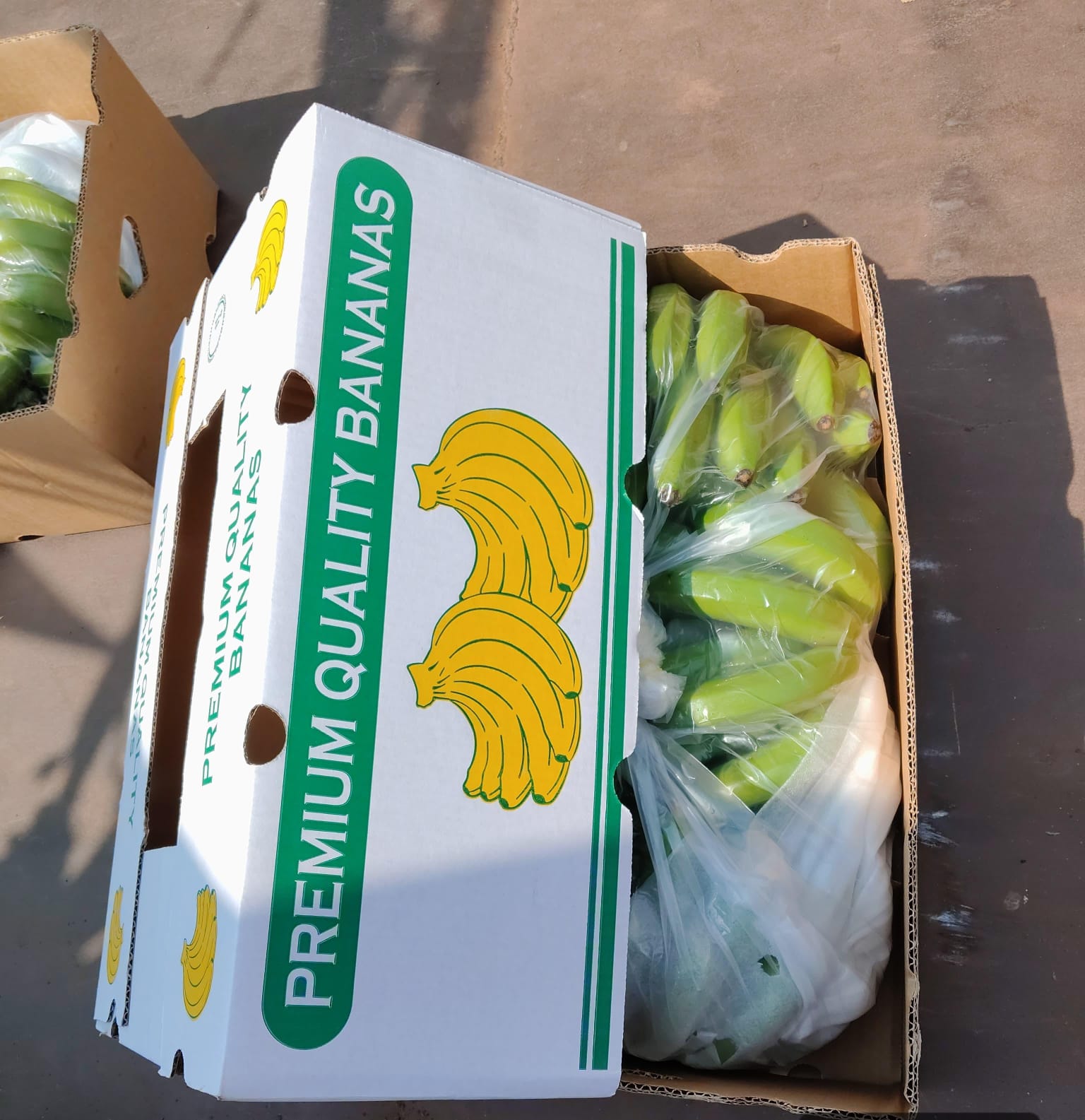 Quality Bananas